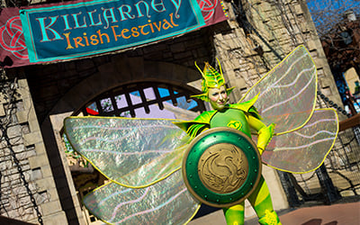 Battle For Eire Fest - Opening Weekend
