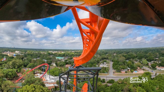 Tigris Video Conference Background Preview