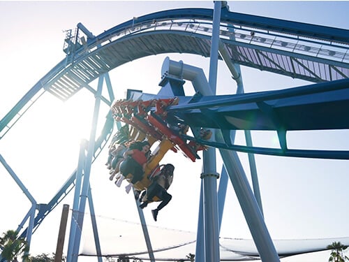 Busch Gardens Tampa Bay Phoenix Rising