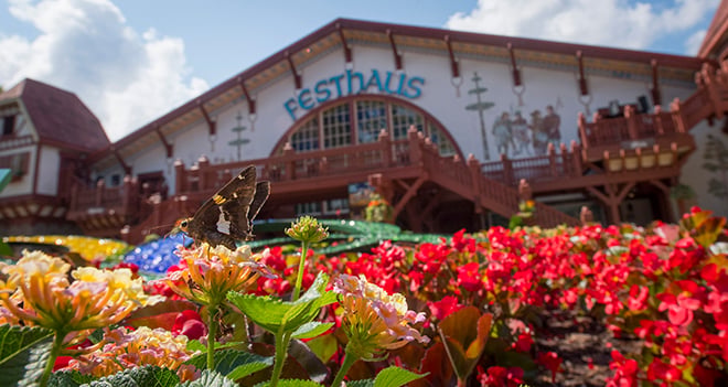 Become a Member at Busch Gardens Williamsburg