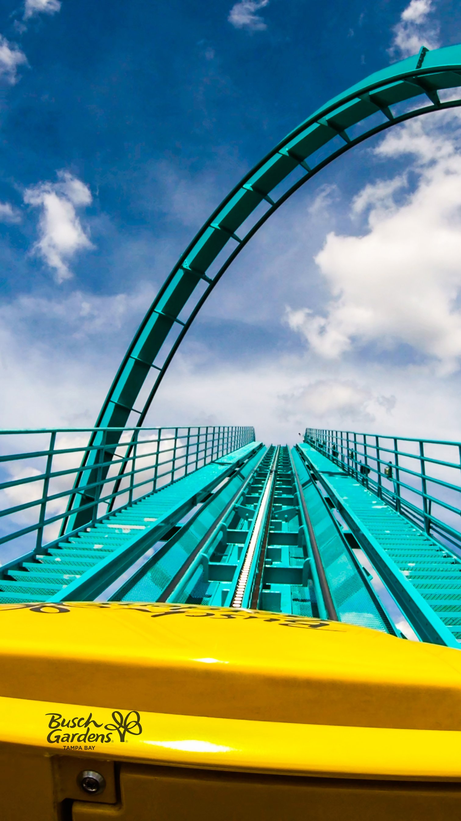 Wallpaper Wednesdays at Busch Gardens Tampa