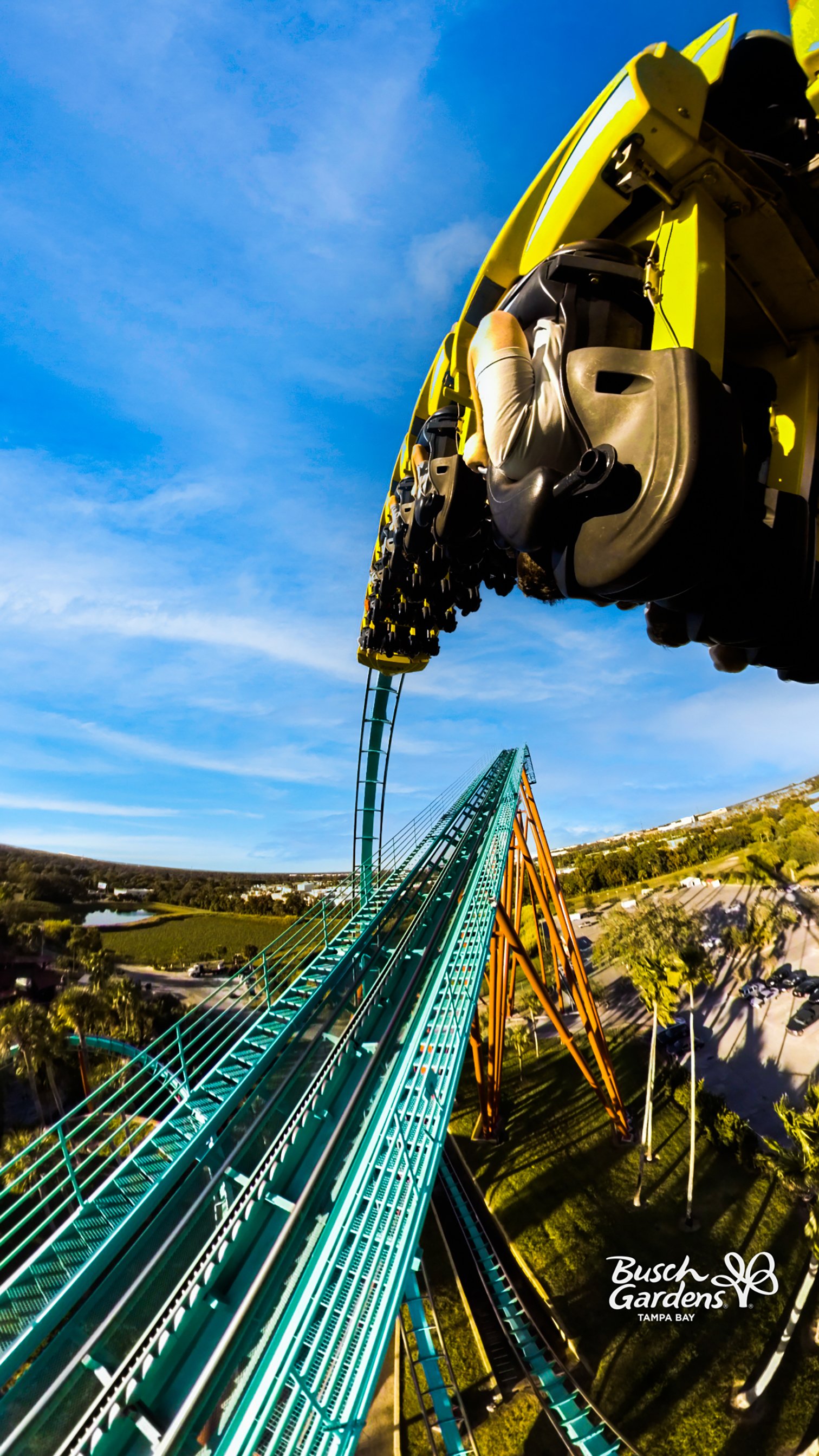 Wallpaper Wednesdays at Busch Gardens Tampa