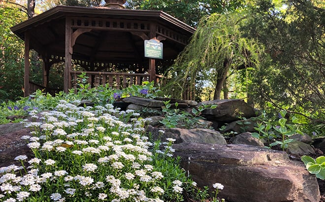 Backyard Habitat