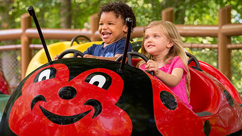 Land of the Dragons includes kids rides, tree house, climbing ropes, slides, and a water play area.