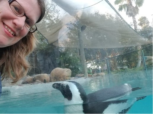 World Wildlife Day at Busch Gardens Tampa Bay.