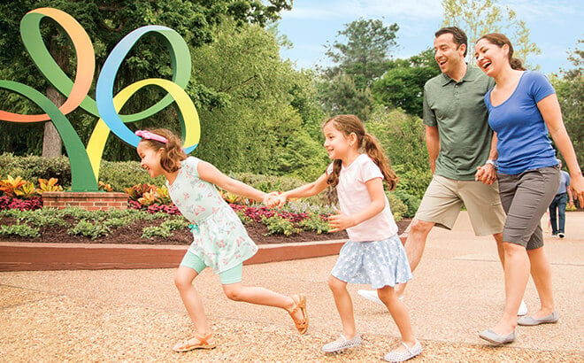 Visit Busch Gardens again and again