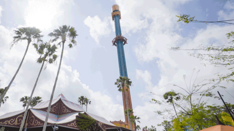 Ride Falcon's Fury at Busch Gardens Tampa Bay