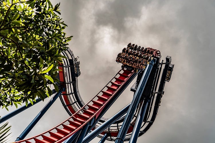 SheiKra at Busch Gardens Tampa Bay