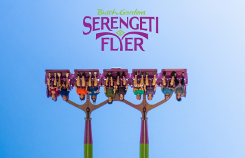 Busch Gardens Wallpaper Wednesday Serengeti Flyer
