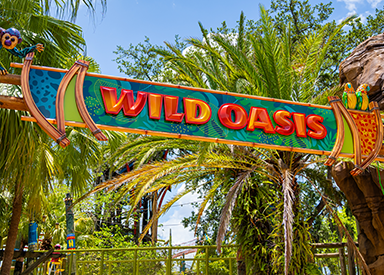 wild oasis
