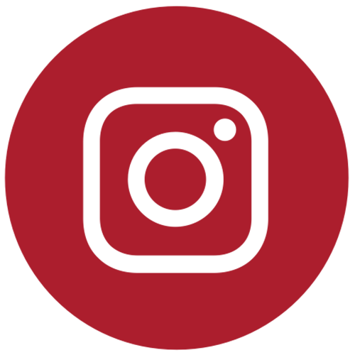 Instagram Icon