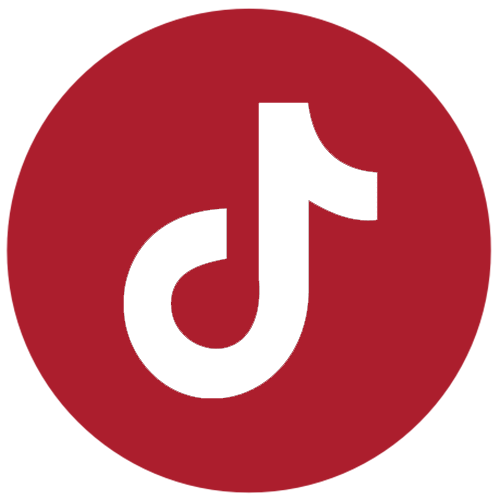 TikTok Icon