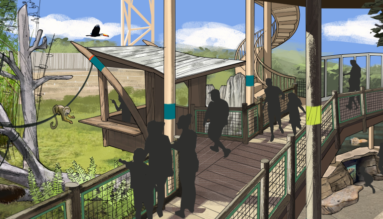 Busch Gardens Tampa Wild Oasis