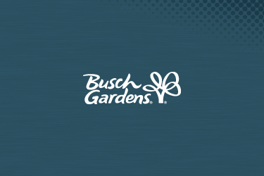 Basic Membership