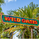 wild oasis.
